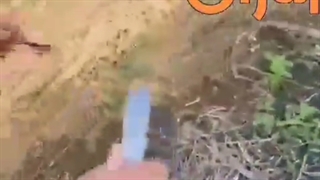 پیوند انگور__مشاوره واتساپ۰۹۱۳۸۵۱۱۹۹۷ __سبزینه مارال