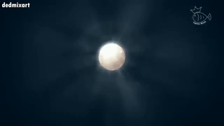 Amv from attack on titans