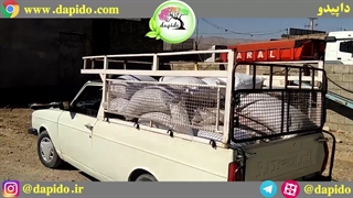 ارسال سیاه دانه بوجاری شده داپیدو برای اصفهان دولت آباد