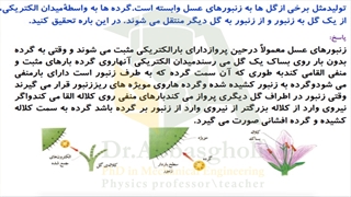 القای الکتریکی توسط زنبور عسل !!!