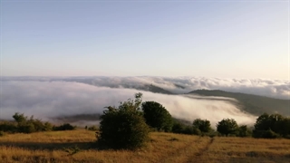 دریایی از ابر