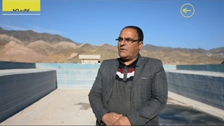 استخر غول پیکر با کالیمورا