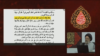 عالم اهل سنت : همه علما در برابر امام صادق از نظر علمی احساس حقارت می کردند