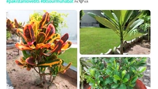 انجام پروژه تولد نامجون