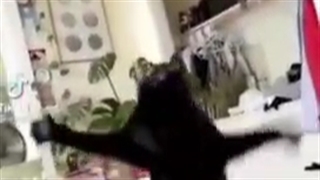 اوه لالا بیا وسط