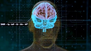 تیم فرکانسیک