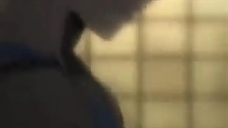 میکس از تودوروکی شوتو