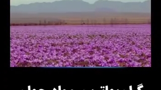 گران بها ترین مواد جهان