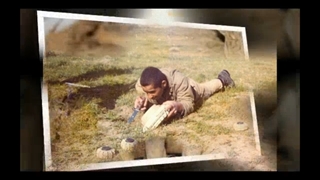 پلاک کوچه هویت محله