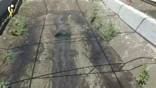 مزرعه پرورش زالو روش استخری در ترکیه