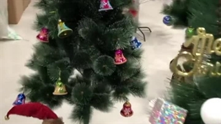 تمامی درخت کریسمس های موجود در انبار ایزی خرید