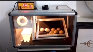 فیلم جوجه کشی توسط دستگاه