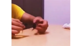 تقدیم به انیمه هیترا:)))