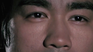 راز جهانی شدن بروسلی _ وحید کریمی