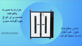 خشک کن میوه صنعتی ، خشک کن الوبخارا ، خشک کن انگور