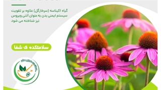 اکیناسه یا سرخارگل