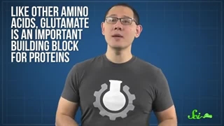 آنچه لازم است درباره مونو گلوتامات سدیم (MSG) و تاثیر آن بر سلامت بدانیم