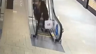 این ویدیو واقعیه.