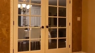 ماجراهای من و داداشم