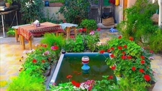 ترانه: شهلا