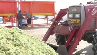 بسته بندی علوفه 30کیلویی