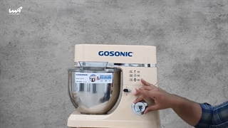 همزن حرفه ای گاسونیک