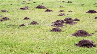 یه کاری کن بهترین نتیجه رو بگیری _ وحید کریمی