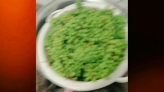 رب انگور(غوره)