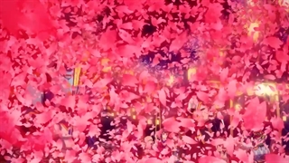 انیمه Onmyoji: Heian Monogatari قسمت 1+زیرنویس فارسی