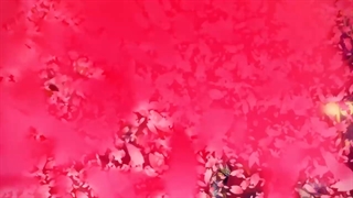 انیمه Onmyoji: Heian Monogatari قسمت 9+زیرنویس فارسی