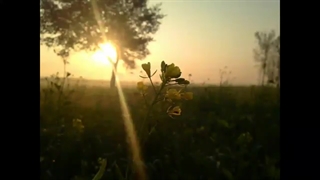 نقد انیمه