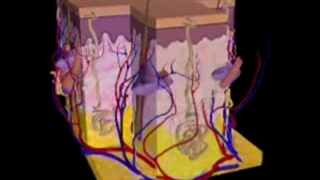 nursing book unit 13