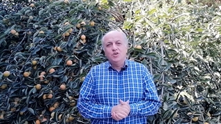 رفتارسازمانی و شایعه