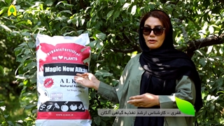 پلت مرغی مجیک بیو آلکان