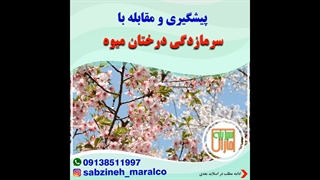 پیشگیری و مقابله با سرمازدگی درختان_مشاوره ی واتساپ 09138511997_سبزینه مارال یزد