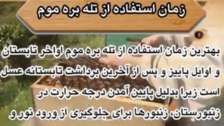 معرفی تله بره موم و ظرف مخصوص تیمول و منتول