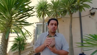 چطور نخل ماداگاسکار رو نگهداری کنیم که به ارتفاع سه متری برسه