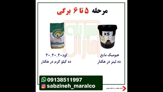 توصیه ی کودی برای کوجه_مشاوره ی واتساپ 09138511997_سبزینه مارال یزد