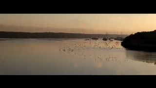 Semangat New Normal نایتکور