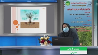 مدیریت پاییزه آفات و بیماری های باغی