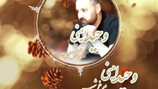 دانلود آهنگ جدید وحید امینی مرغ شب ( نوستالژی )