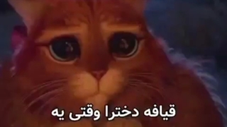 قیافه دخترا وقتی میخان پسرا رو خر کنن:/XD