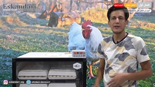 دستگاه جوجه کشی 252 تایی (فصل اول - بخش سوم - قسمت سوم)