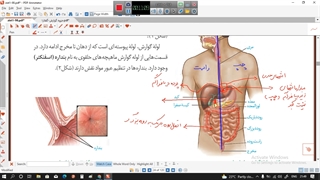تدریس گفتار یک فصل ۲ زیست دهم -مدرس:سعید فتحی پور