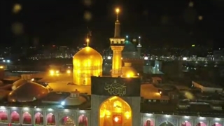 از نوجوانی تا پیری؛ همه خادمالرضاییم.