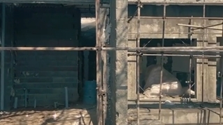 قبل و بعد پروژه باغ بهشت