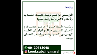 عوامل بیرونی برای رشد ریشه-مشاوره واتساپ 09030713048-سبزینه مارال یزد