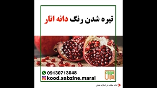 تیره شدن رنگ دانه انار_مشاوره ی واتساپ09130713048_سبزینه مارال یزد