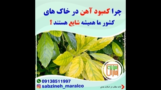 چرا کمبود آهن در خاک های کشور ما همیشه شایع هستند؟_مشاوره ی واتساپ09138511997_سبزینه مارال یزد