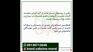 یخ آب زمستانه چیه؟وچه کاربردی دارد؟_مشاوره ی واتساپ09130713048_سبزینه مارال یزد
